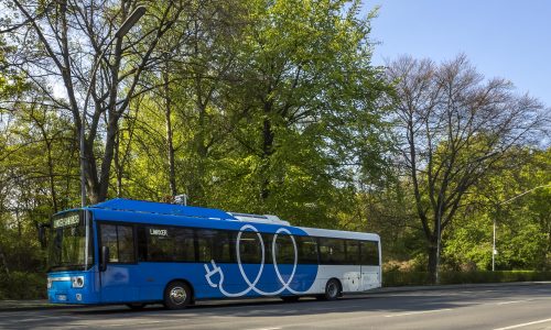Linkker 12plus im Tiergarten